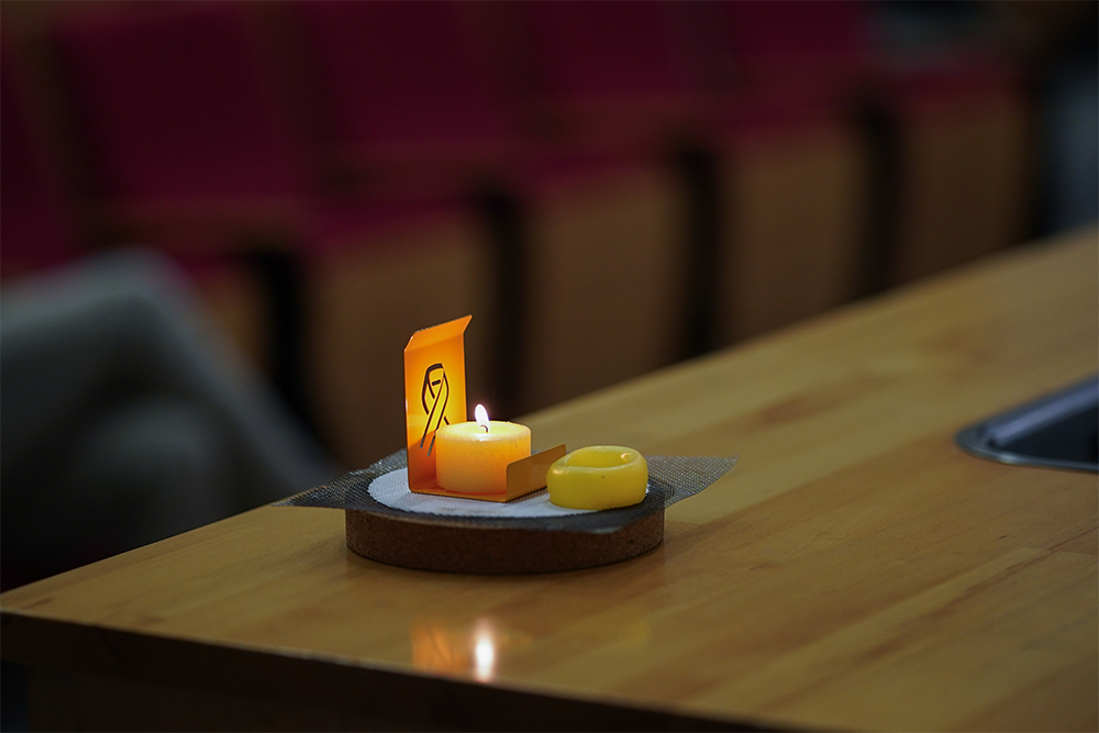 MR Annual Meeting held in memory of Prof. Asher Schmidt (18)